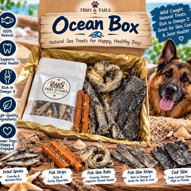 Ocean Box | Fish Treat Box for Dogs | All Natural Hypoallergenic