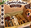 Trio & Tails Natural Dog Treat Box for Heavy Chewers Long Lasting Grain-Free Chews Ideal for Durable Snacks